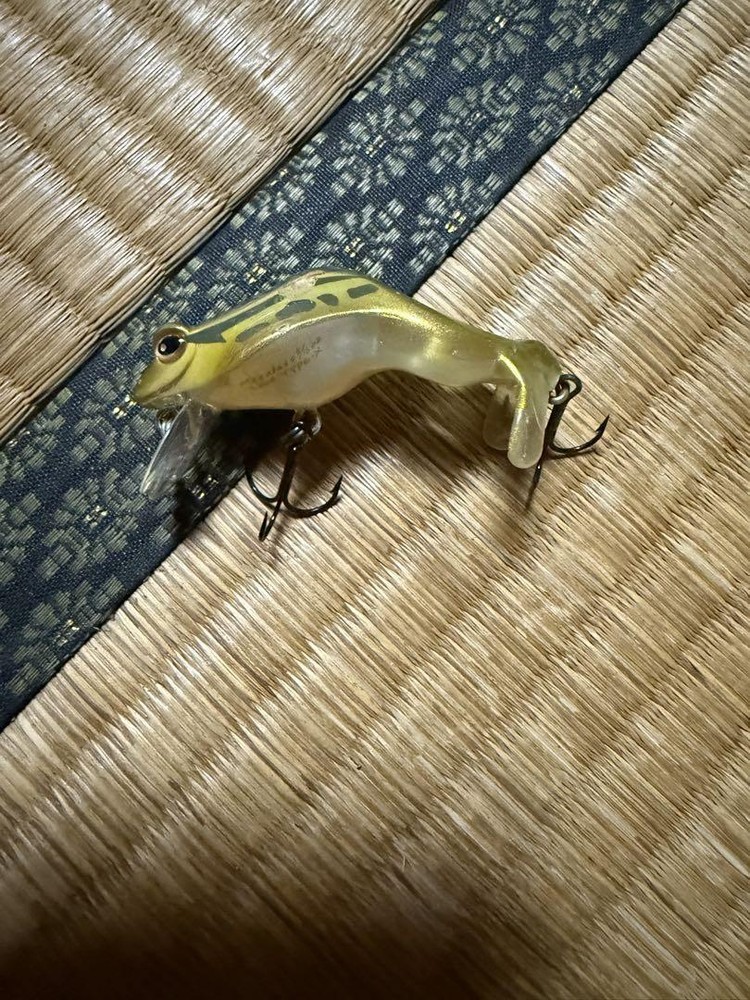 Fishing Lure Megabus Type-X