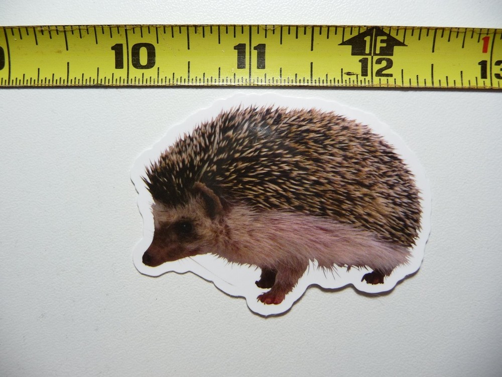 Left Faced Hedgehog Sticker Decal for Wildlife and Nature Lovers