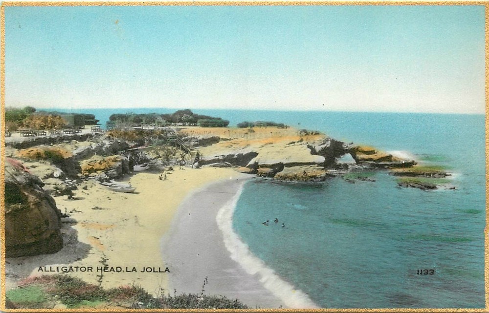 1930s La Jolla California San Diego Alligator head Martin RPPC Postcard 25-2590