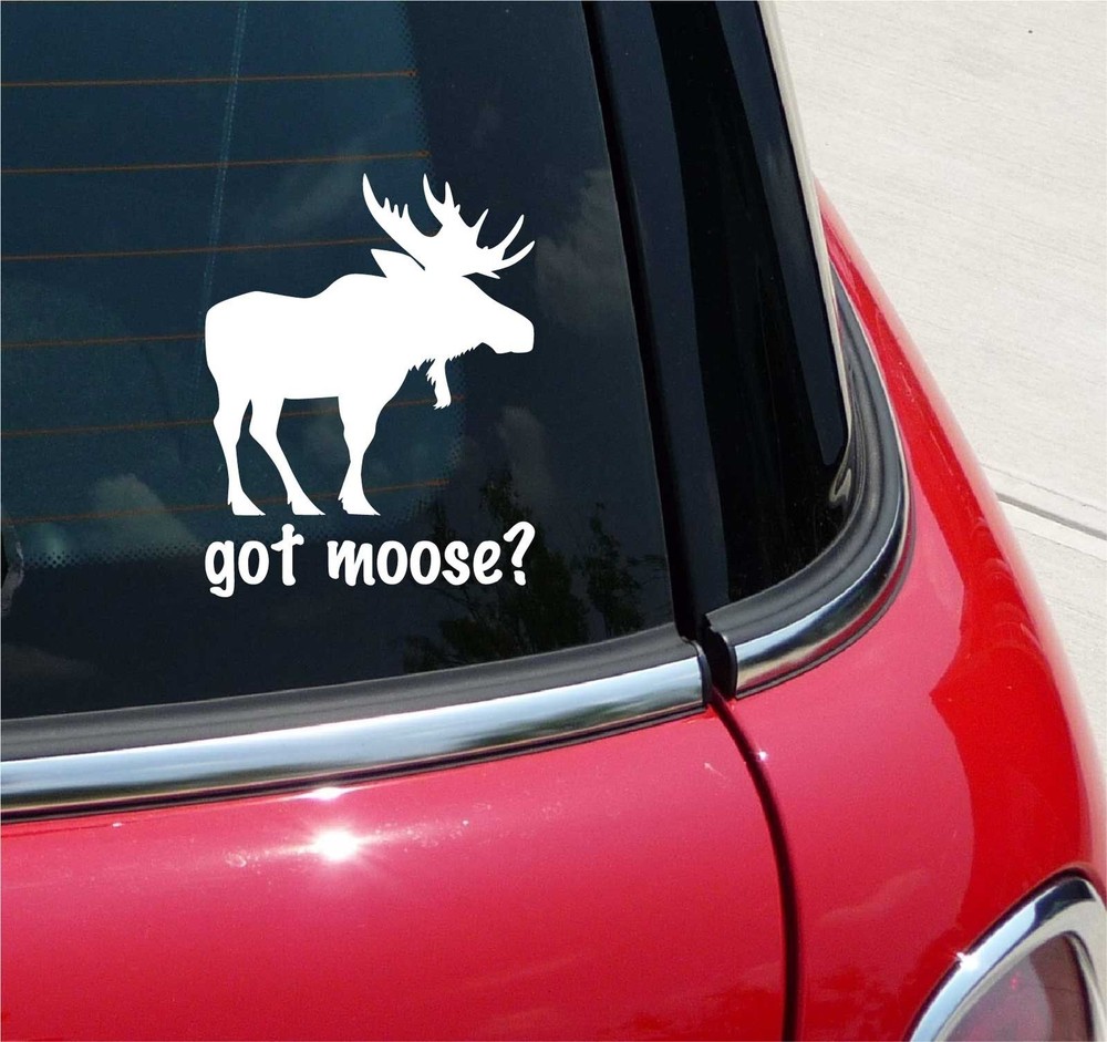 GOT MOOSE? IS LOOSE HUNTING LODGE GRAPHIC DECAL STICKER ART CAR WALL DECOR