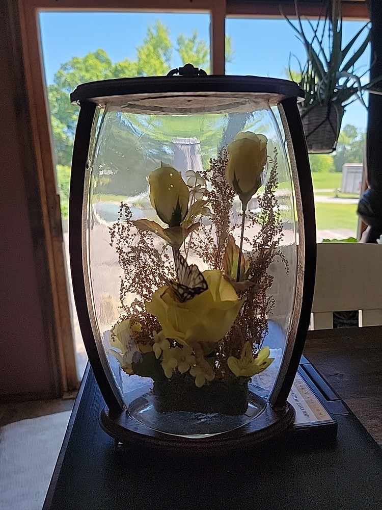 Vintage Butterfly Floral Glass Cloche Dome Terrarium in Great Condition