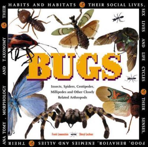 Bugs: Insects, Spiders, Centipedes, Millipedes, and Other Closely Related Arthro