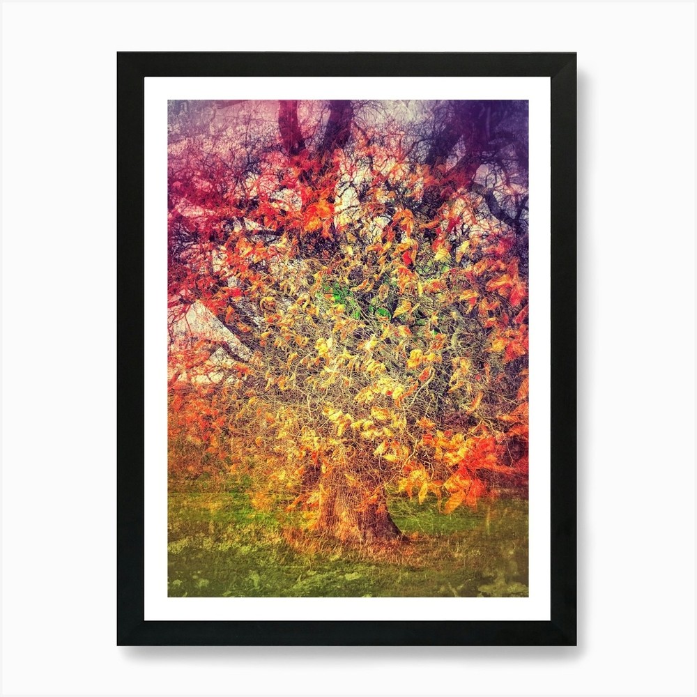 Abstract Multicolor Trees Framed Wall Art Canvas Print