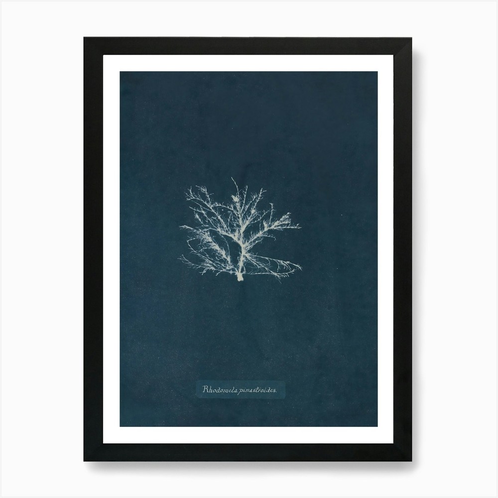 Tree Of Life 22 Art Print Framed Wall Art Poster Canvas Print Picture