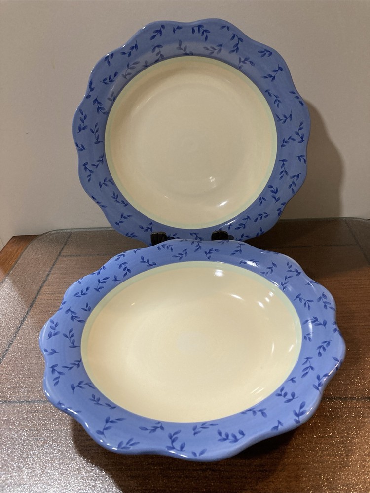 PFALTZGRAFF Summer Breeze 10.5-Inch Dinner Bowls Set of 2