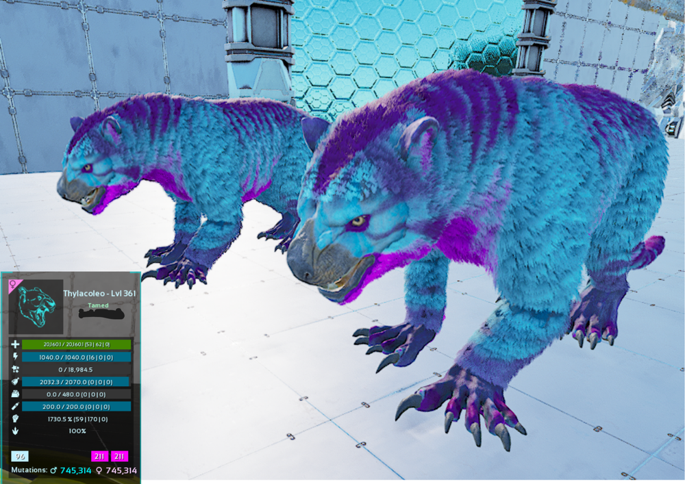 Thylacoleo 1730 DMG Cotton Candy Ark Survival Ascended Official PVE