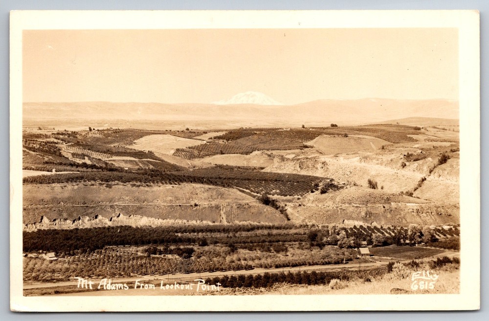 RPPC Mt Adams From Lookout Point Washington Ellis Photo C1940s Postcard Z3