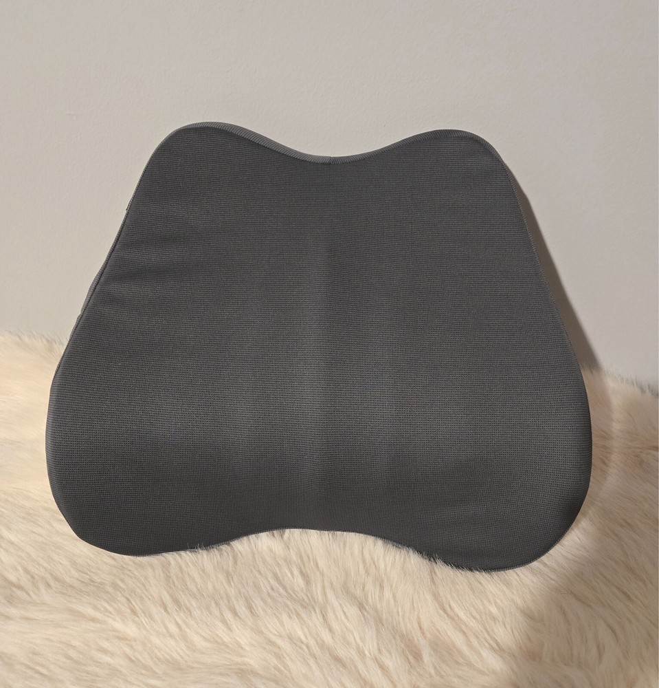 Samsonite Lumbar Support Chair Pillow Polyurethane Foam Seat Back Cushion
