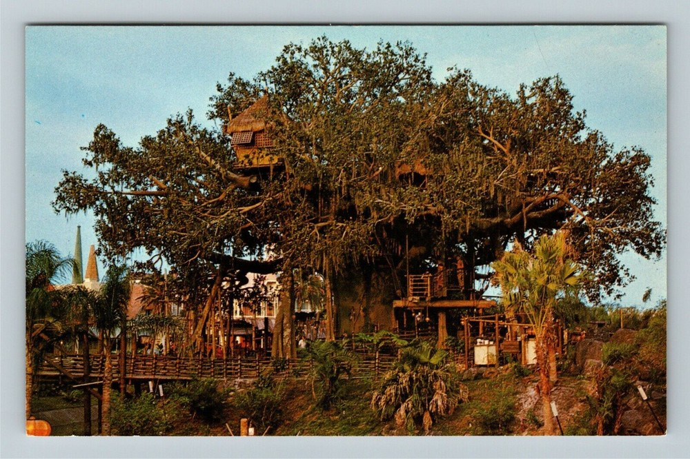Vintage Walt Disney World Swiss Family Treehouse Postcard Orlando Florida