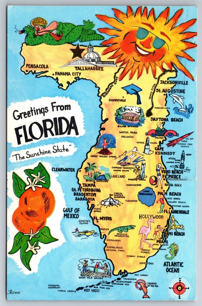 Greetings From Florida Sunshine State Illustrated Map Postcard AC13
