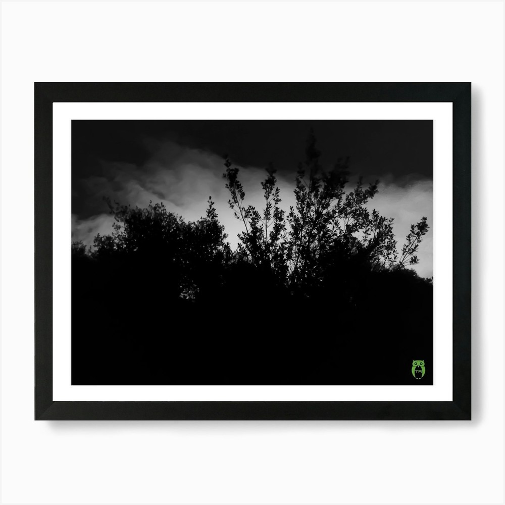 Tree In The Dark 20240115190842pub  Framed Wall Art Poster Canvas Print Picture