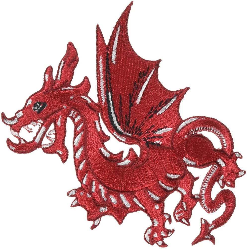 DSX Red Dragon Good Luck Fire Passion Heart Chinese New Year Patch P-3504-image