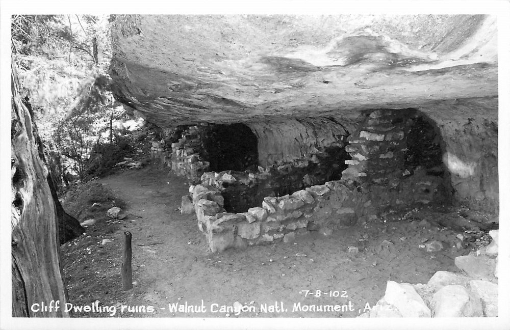 1940s Arizona Walnut Canyon Cliff Dwelling Ruins monument RPPC Postcard 25-6668