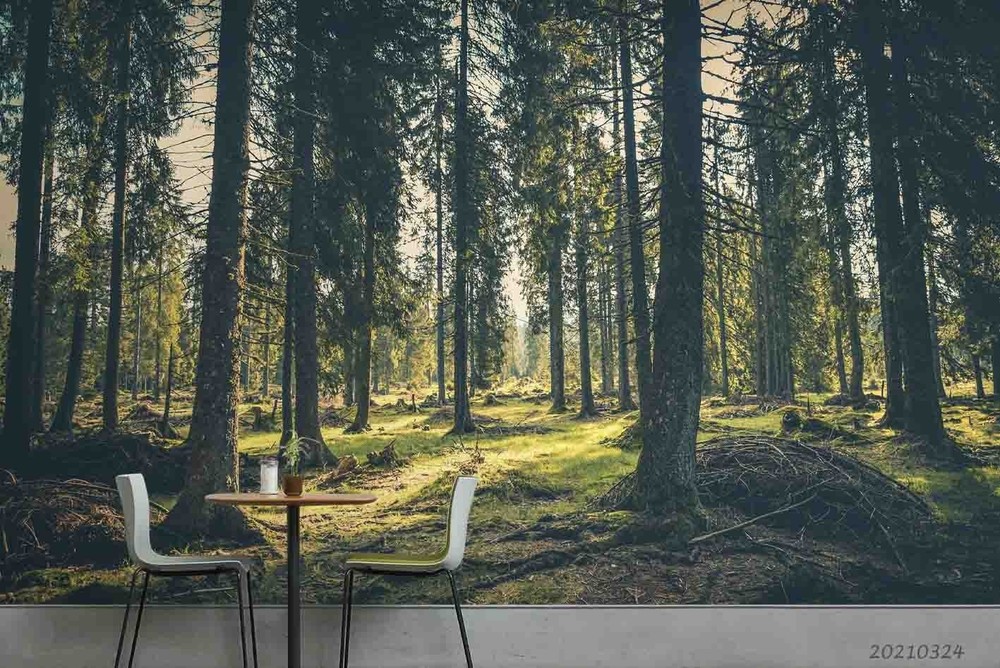3D Pine Forest Landscape Wall Murals Wallpaper Murals Wall Sticker