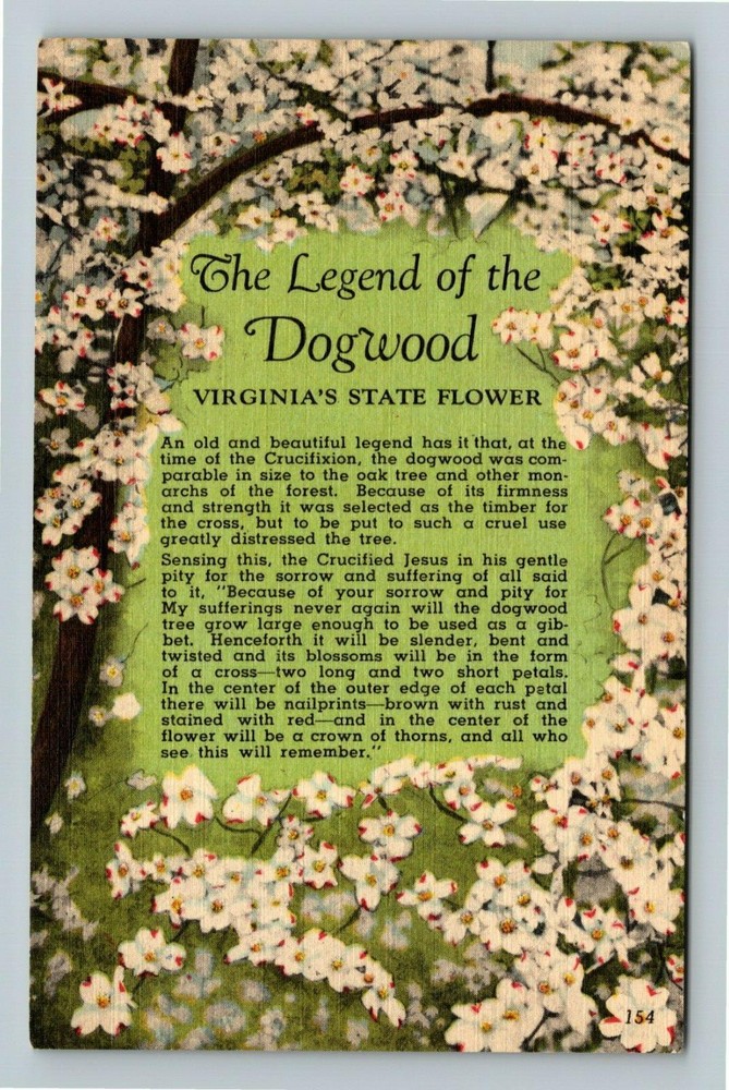 VA-Virginia, The Legend The Dogwood, State Flower, Vintage Postcard