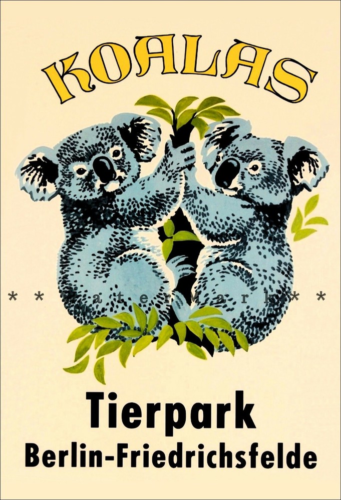 Koalas 1960 Zoo Berlin Germany Vintage Poster Print Retro Style Travel Decor