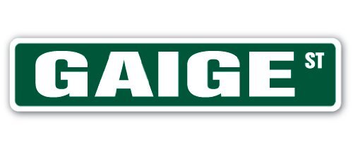 GAIGE Street Sign Childrens Name Room Sign | Indoor/Outdoor | 24