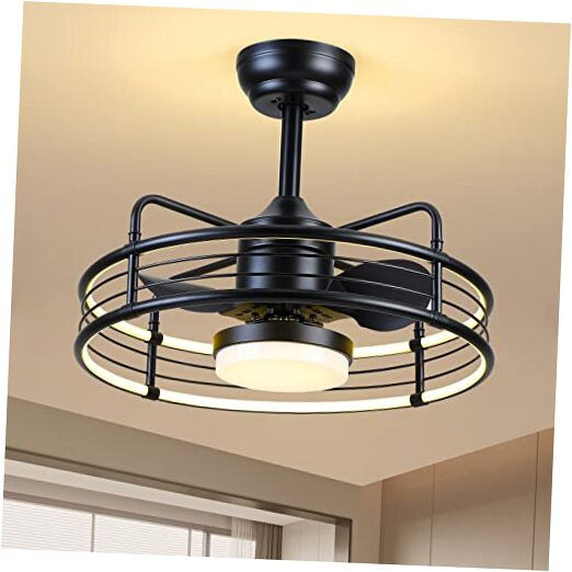 Black Caged Ceiling Fan with Remote - Modern Reversible Design