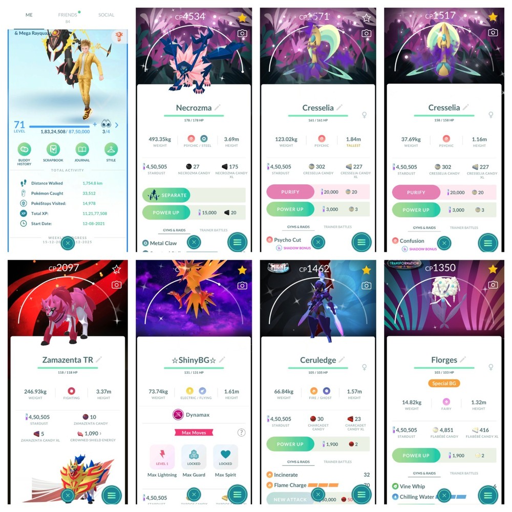 Rare Level 71. Super Premium VIP Epic Pokemon G0 Account Perfectly Stacked