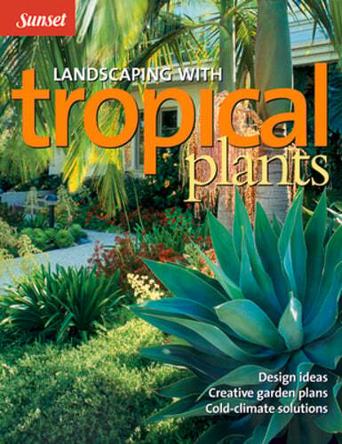 Landscaping with Tropical Plants: Design Ideas, Creative Garden Plans, Cold: New