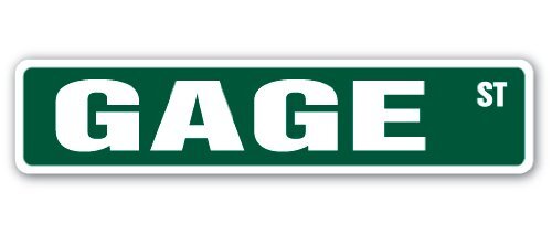 GAGE Street Sign Childrens Name Room Sign | Indoor/Outdoor | 30