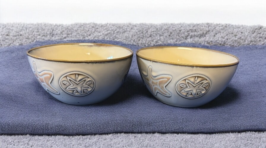 Pfaltzgraff Sandy Shores 6-inch Soup Cereal Bowls Set of 2