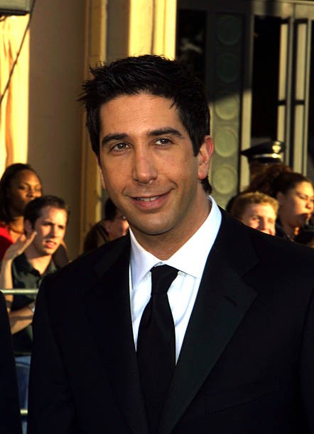 David Schwimmer during The 8th Screen Actors Guild Awards Arrivals- Old Photo