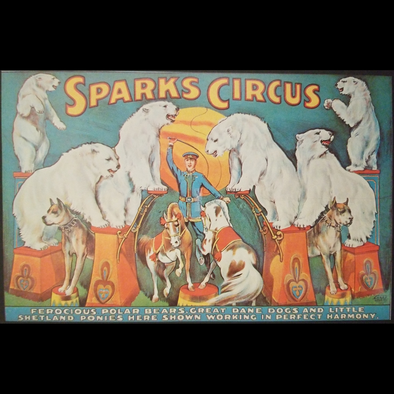 1976 Ringling Bros & Barnum Bailey Sparks Circus Polar Bear Act Classic Print