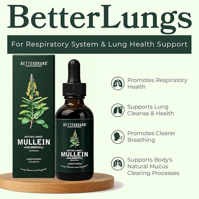 Mullein Drops for Lungs Mullein Leaf Extract with Chlorophyll Liquid Respiratory