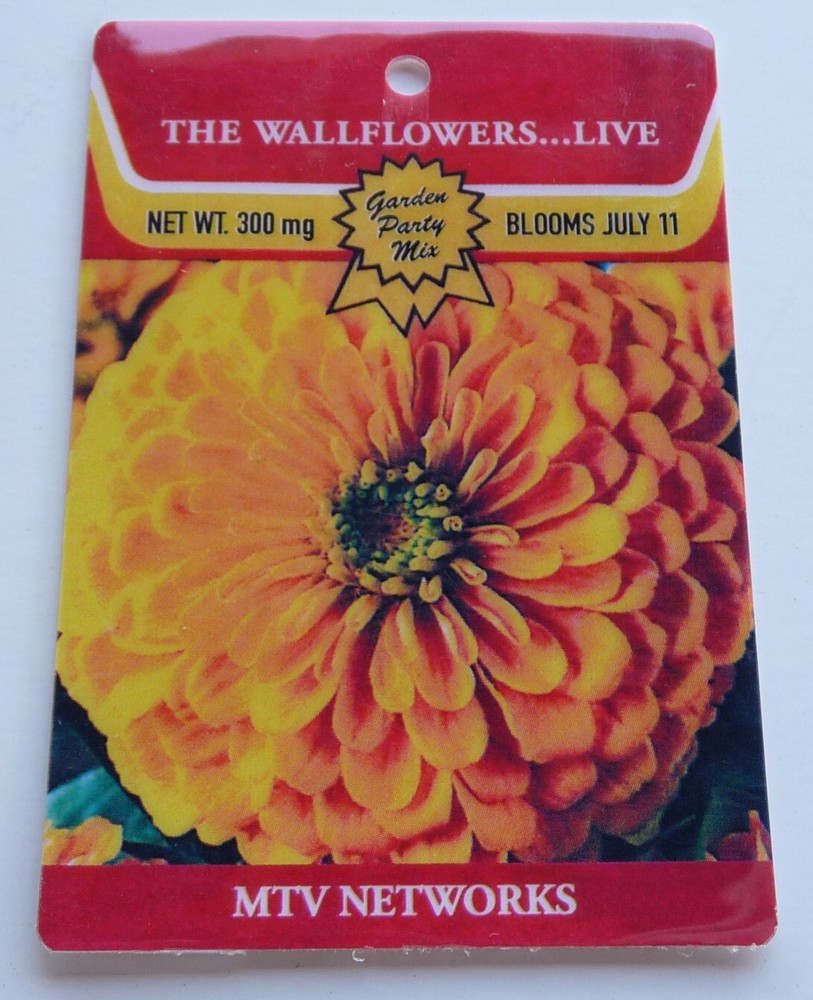 Wallflowers MTV Networks Live Tour Concert Backstage Pass Laminate D19
