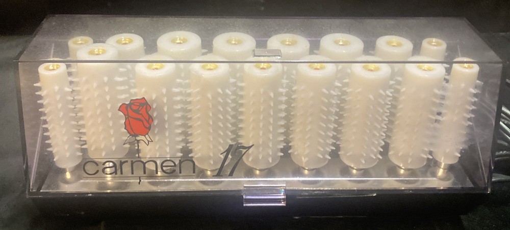 Carmen by Clairol Electric 17 Heated Hot Rollers Curlers Tested Working