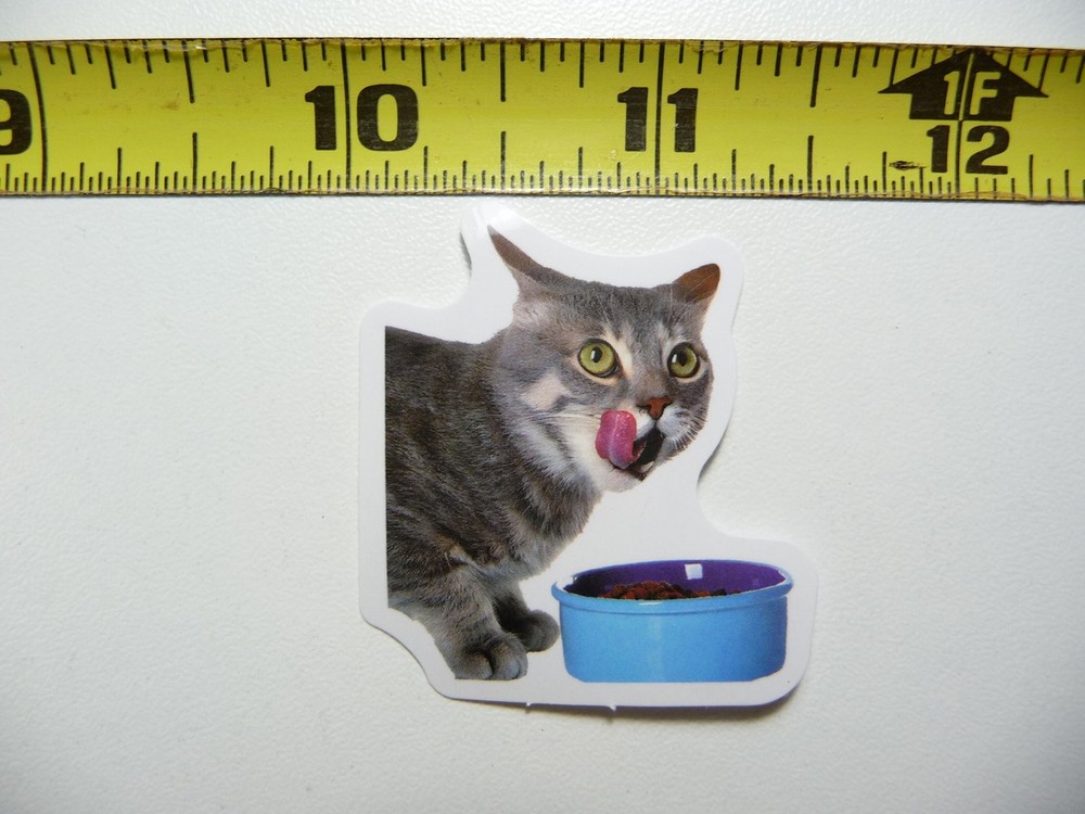 Playful Kitten Eating Bowl Cute Cat Licking Sticker Decal