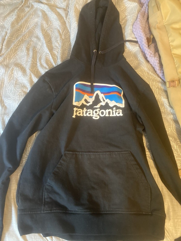Used Mens M Patagonia Hoodie