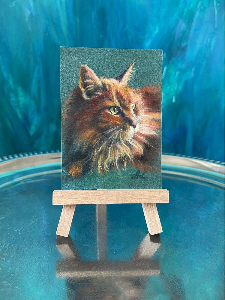 Original pastel drawing of a Maine Coon cat by artist