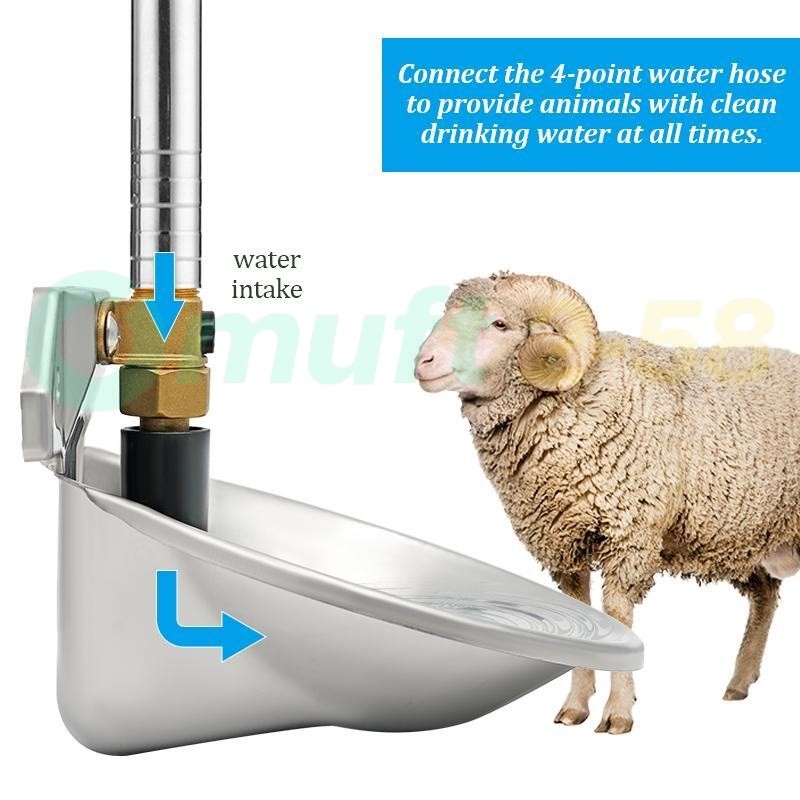 Automatic Goat Sheep Water Feeder Auto Fill Drinking Bowl Durable Fast Shipping
