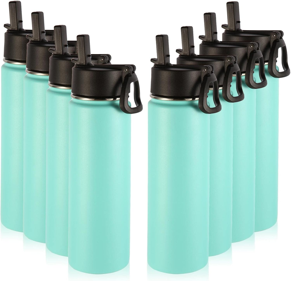 Insulated Water Bottles with Straw Bulk 8 Pack, 22 Oz Stainless Steel Sports Bot