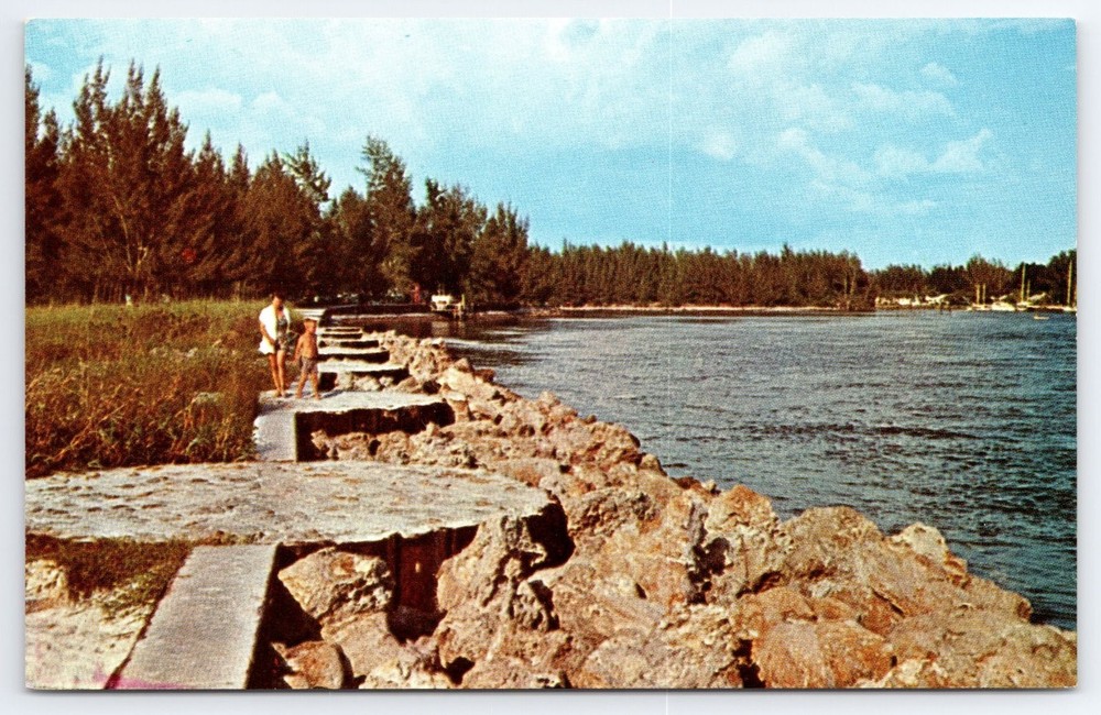 North Jetties Casey Key Nokomis Florida Vintage Postcard Color by McElvain