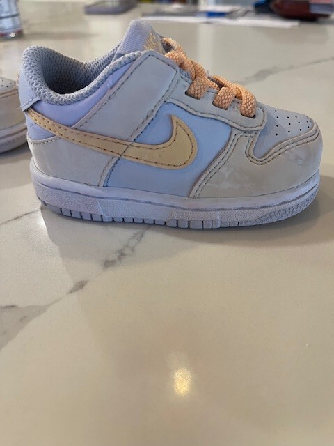 Nike Dunk Low TDE Pale Ivory Melon Tint Shoes FB9107-100 TD Size 5C