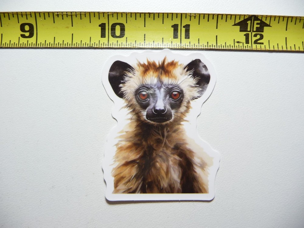 Baby Lemur Monkey Wildlife Decal Sticker Nature Animal Lover