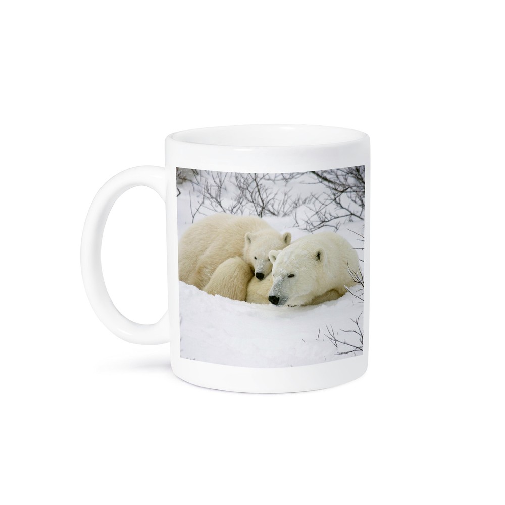 Polar Bear & Cub Churchill Manitoba Canada 11 oz Mug