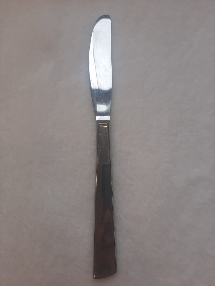 Ashton Stainless Steel Unknown Pattern Angled Tip Dinner Knife Flatware