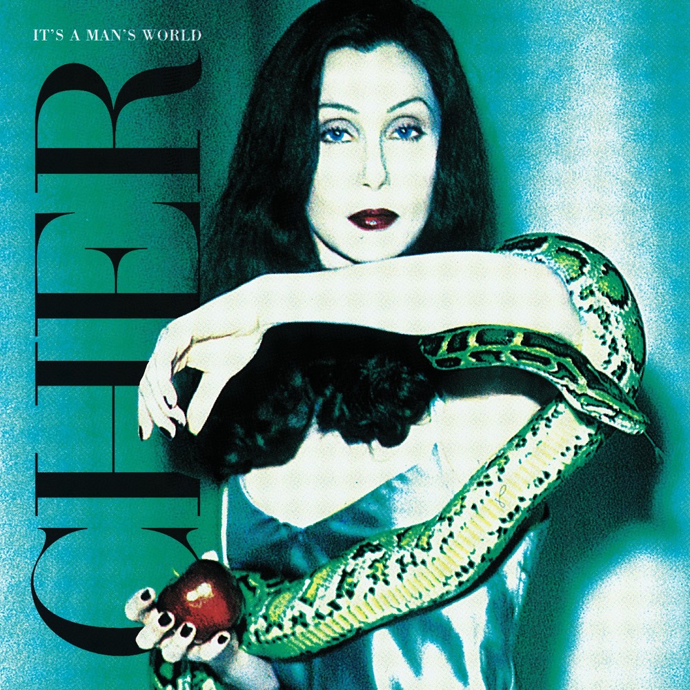 Cher It's a Man's World (Vinyl) 12