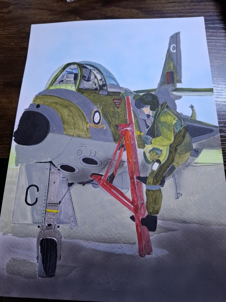 Hawker Hunter Paintings Memorabilia RAF BRAWDY