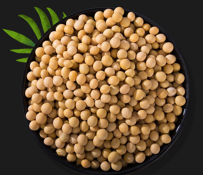 USDA CERTIFIED ORGANIC TOP QUALITY SOY BEANS Bulk Wholesale