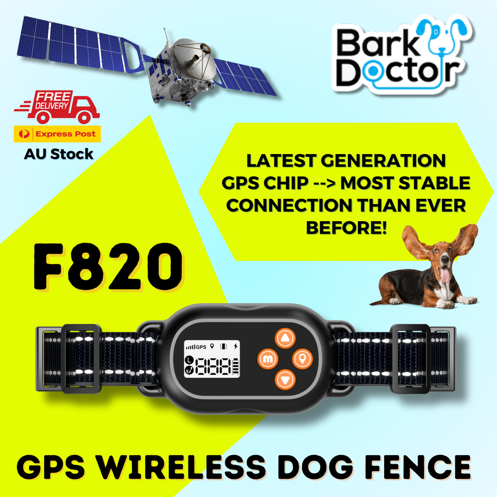 GPS-Connected Wireless Outdoor Boundary Fence E-Collar No SIM Waterproof for Dogs