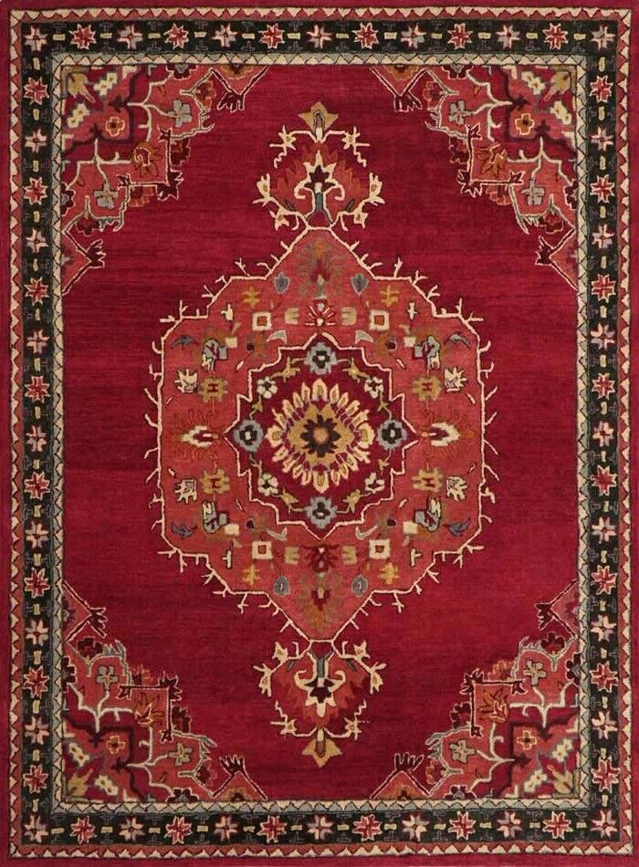 Hand Tufted 100% Wool Aamir Red Area Rug by Pottery Barn