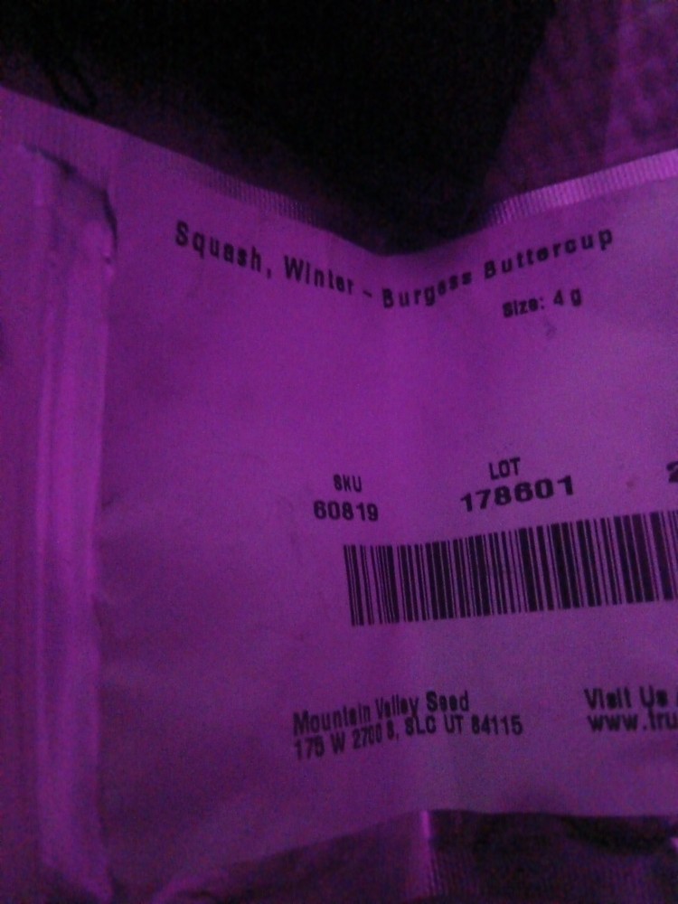 Squash Winter Burgess Buttercup Open Pollinated Heirloom 20 Seeds