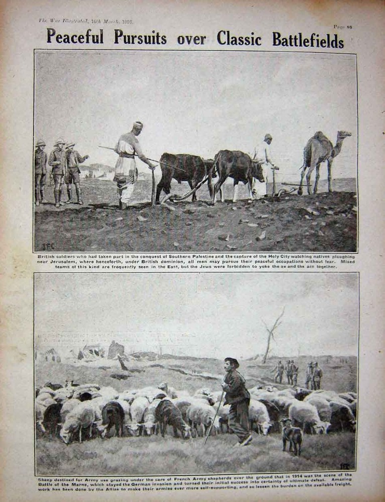 Original Old Vintage Print Ww1 1918 French Naval Gunners British Siers Sheep