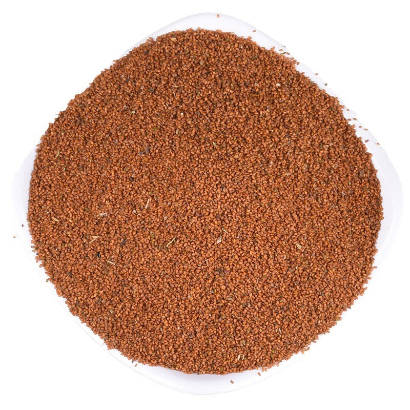 Discover Tinglizi Chinese Herbs for Natural Health and Wellness