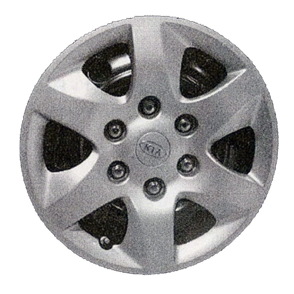 OE 16-inch Silver Wheel Cover for 2006 KIA Sedona 570-66016